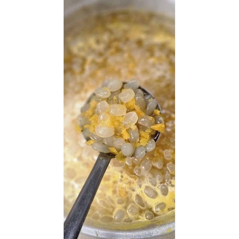 Đác rim khóm  sỉ