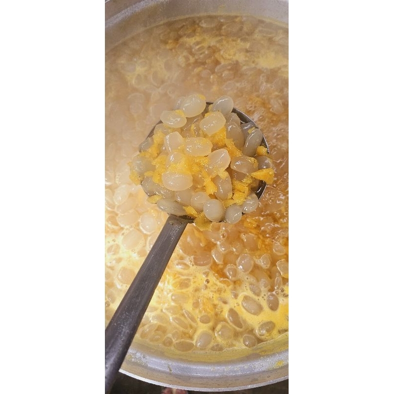 Đác rim khóm  sỉ