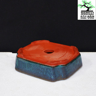 chậu bonsai mini