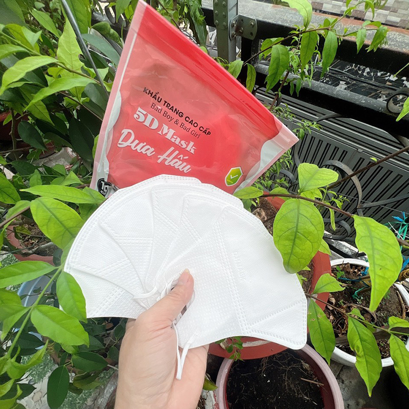 Thùng 100 Chiếc Khẩu Trang 5D Dưa Hấu Người Lớn