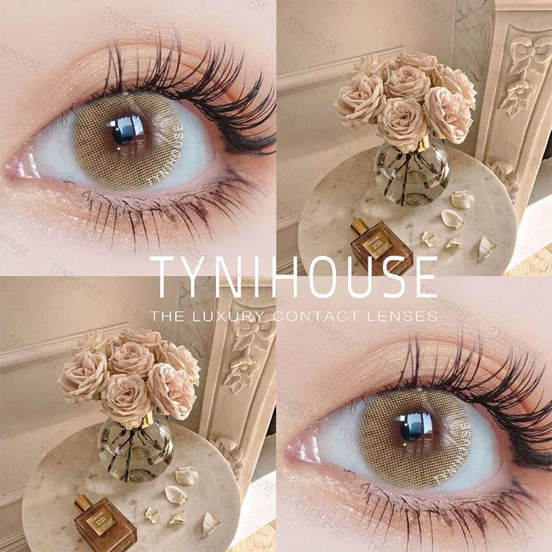 Kính áp tròng lens NÂU tây không viền ISR BROWN không giãn|Kèm Khay