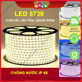 Dây Đèn LED 2 hàng bóng 120Led/m siêu sáng - Đèn led dây đôi chuyên dùng quấn cây, hắt trần, trang trí