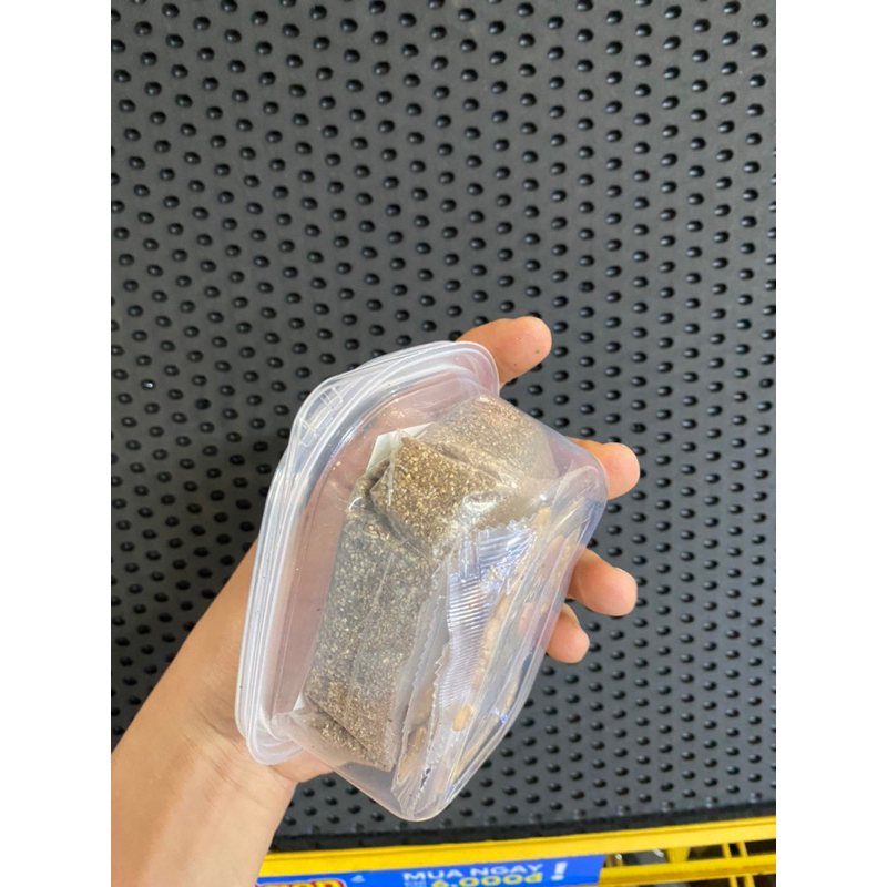 Bộ kit tự trồng cỏ mèo, cỏ mèo tươi cho mèo, tiêu búi lông