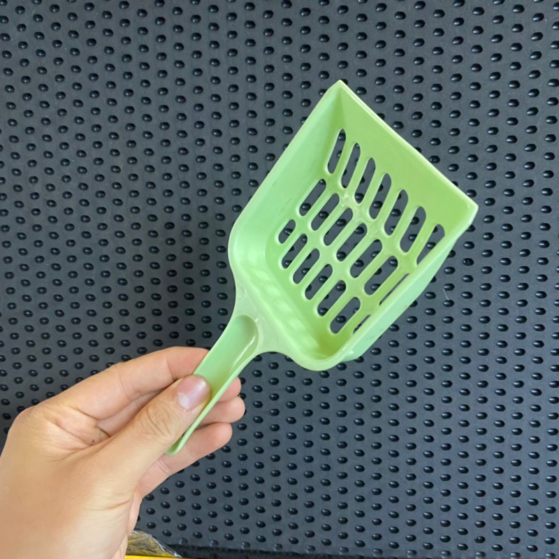 Bộ kit tự trồng cỏ mèo, cỏ mèo tươi cho mèo, tiêu búi lông