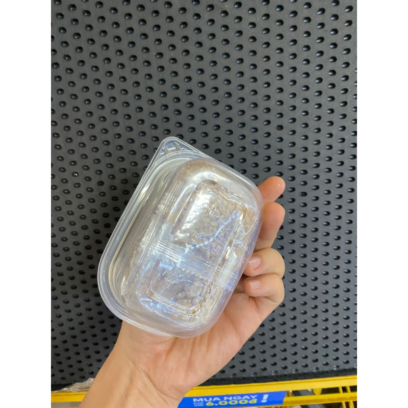 Bộ kit tự trồng cỏ mèo, cỏ mèo tươi cho mèo, tiêu búi lông