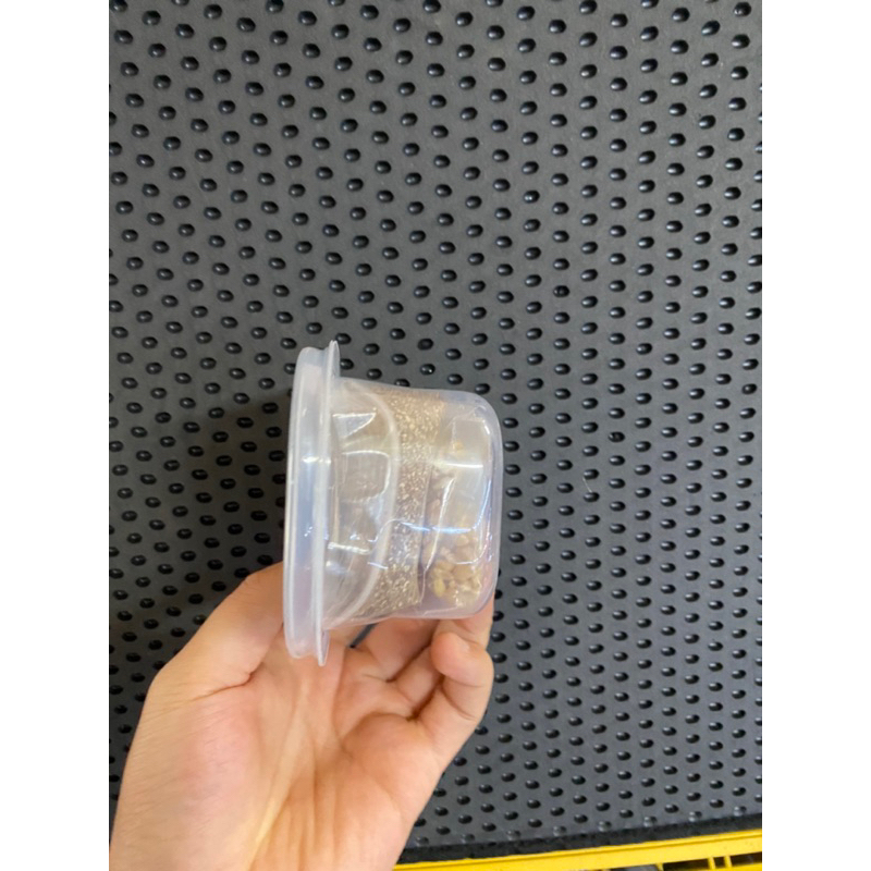 Bộ kit tự trồng cỏ mèo, cỏ mèo tươi cho mèo, tiêu búi lông