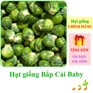 Hạt giống bắp cải tí hon brussels 219 rạng đông - hàng chính hãng