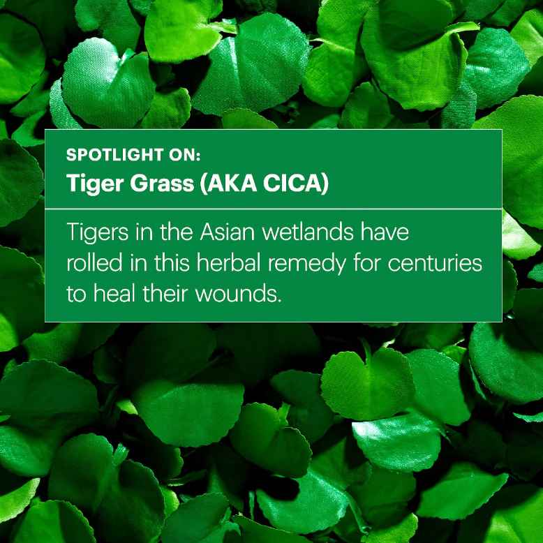 Kem dưỡng nâng tone DR.JART Cicapair Tiger Grass Color Correcting Treatment