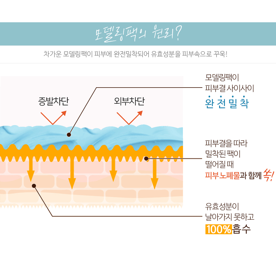 Mặt nạ LINDSAY Modeling Mask Cup Pack 28g