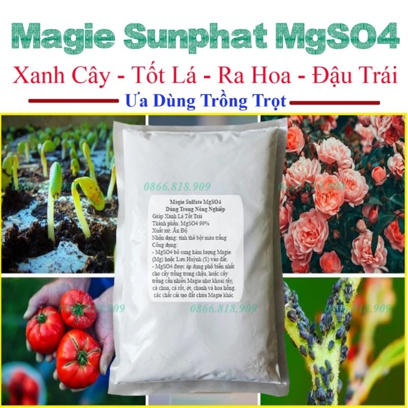 1 Kg Magie Sulfat MgSO4 99% - Magie Sunphat Ấn Độ Trồng Cây Xanh Lá Tốt Trái