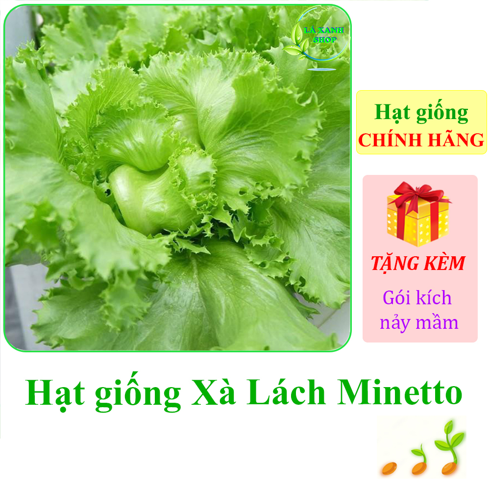 2g Hạt giống Xà Lách Mỹ Minetto
