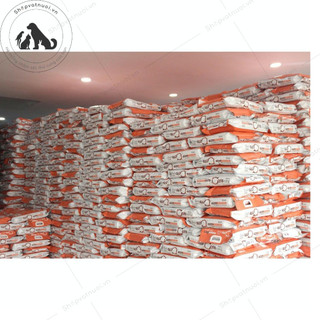 Catsrang Thức Ăn Hạt Dành Cho Mèo Mọi Lứa Tuổi 1kg