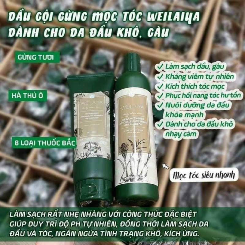 Dầu gội weilaiya