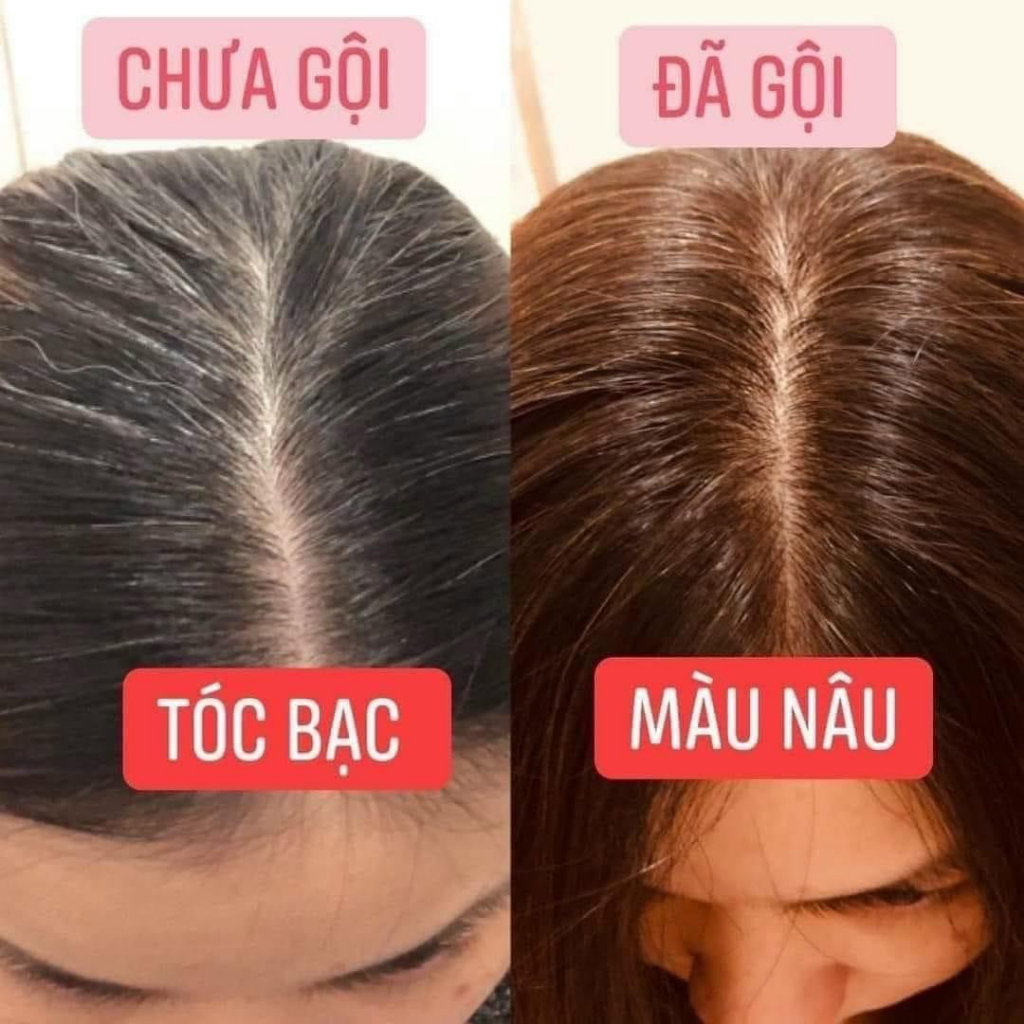 Dầu Gội Phủ Bạc Sin Hair Nhật Bản 500ML Thành Phần Nhân Sâm Tự Nhiên Giúp Đen/Nâu Tóc Bóng Mượt Giảm Rụng Tóc New 2023