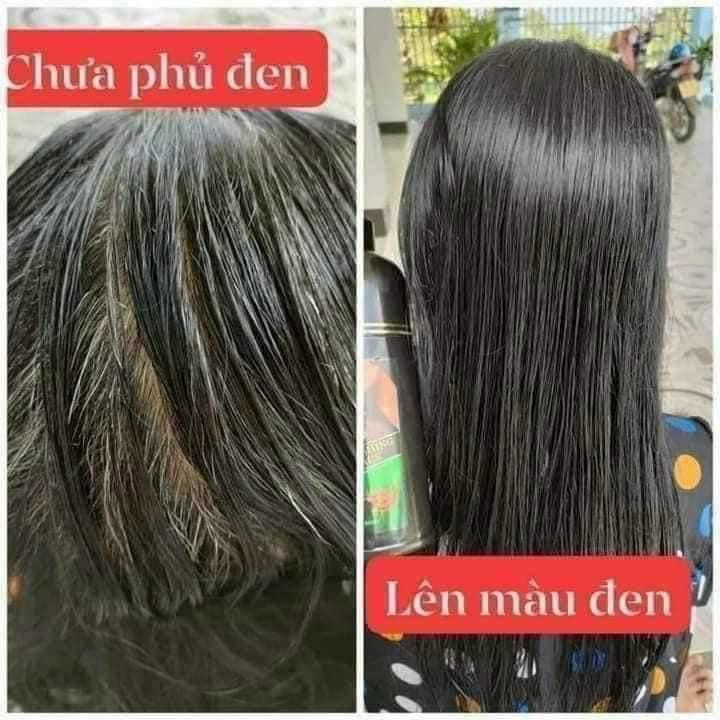 Dầu Gội Phủ Bạc Sin Hair Nhật Bản 500ML Thành Phần Nhân Sâm Tự Nhiên Giúp Đen/Nâu Tóc Bóng Mượt Giảm Rụng Tóc New 2023