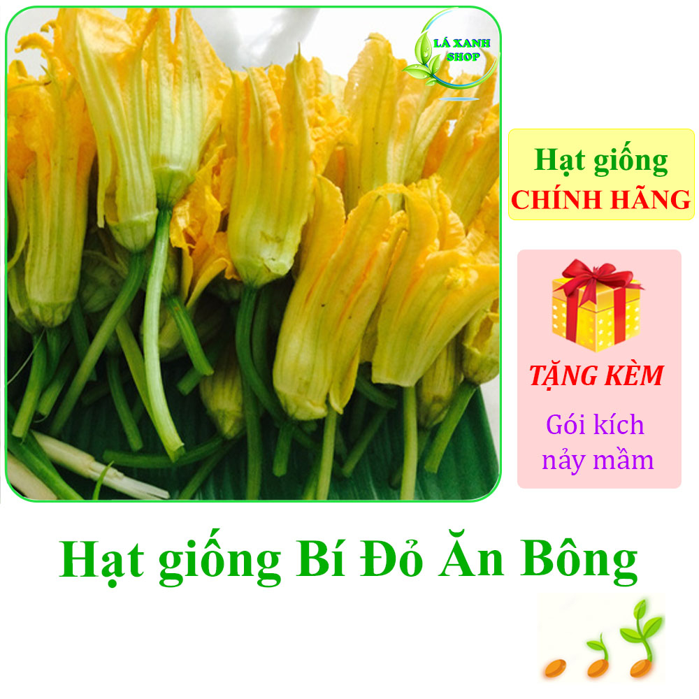 Hạt Giống Bí Đỏ Ăn Bông (gói 5gram) - Hạt Giống Rạng Đông