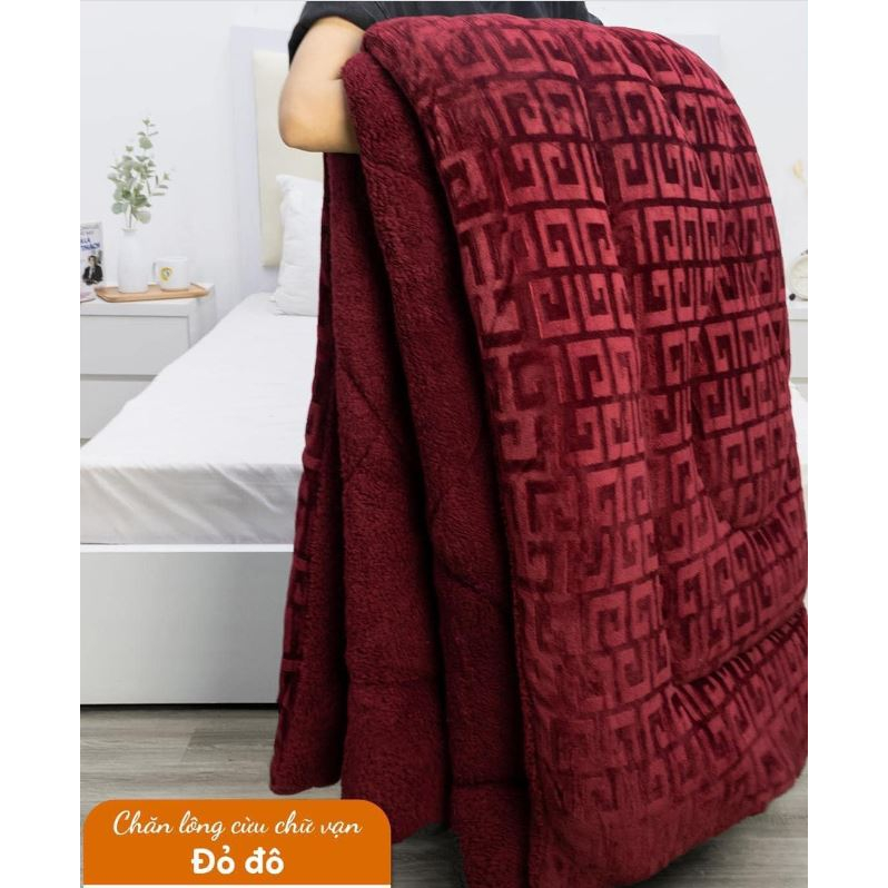 Chăn Lông Cừu Thương Hiệu LV, Chăn Đại Hàn 2m-2m2 loại 1 Siêu Dày Ấm