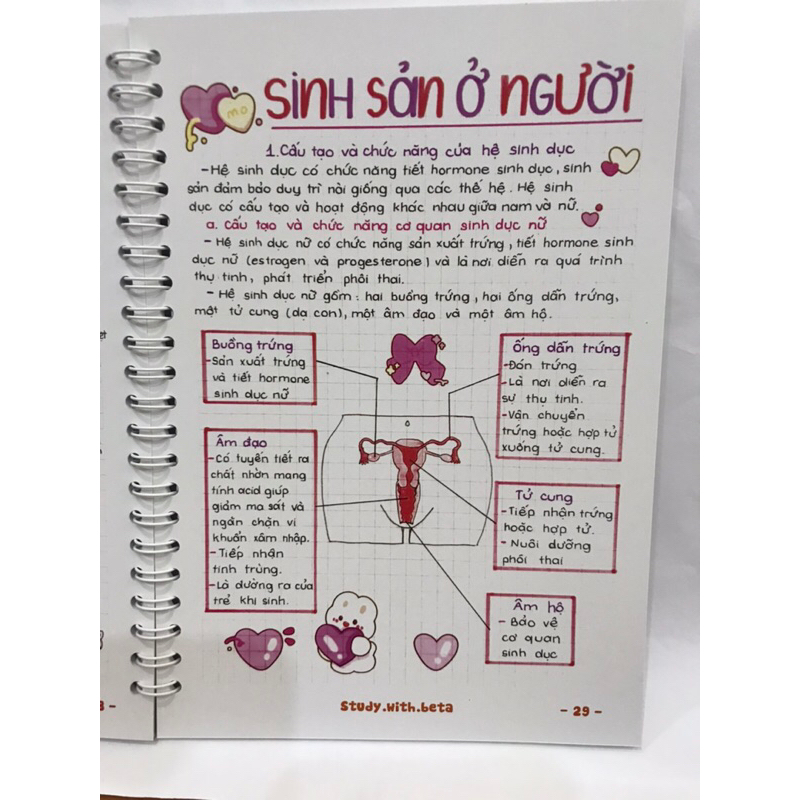 Sổ Tay Lò Xo Khoa Học Tự Nhiên 8