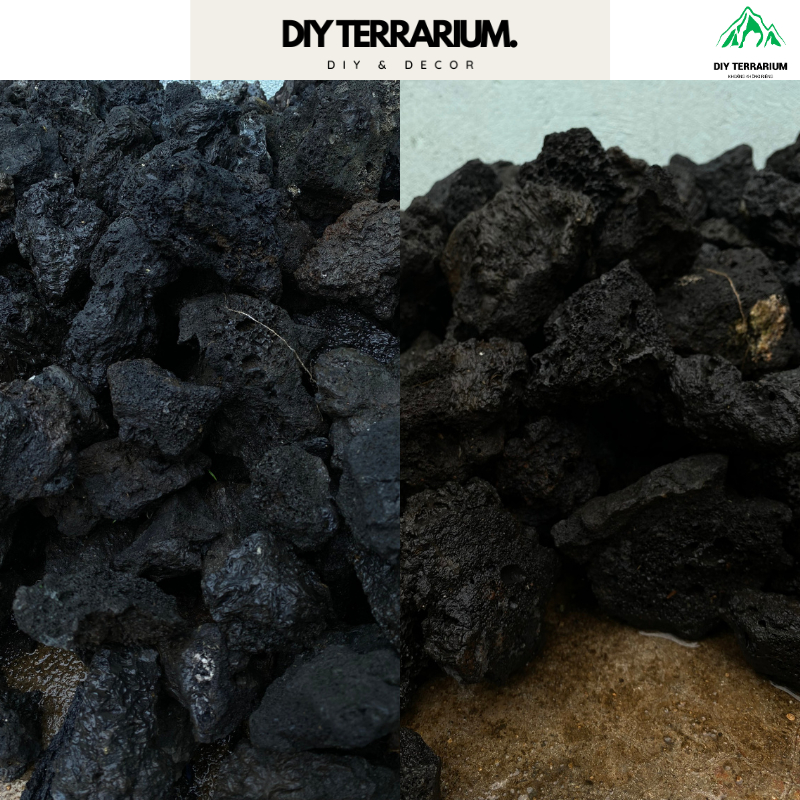 Đá Đen Gia Lai Trang Trí, Tạo Layout Terrarium - Cỡ Vừa 7cm