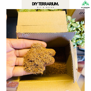Đất kết dính diy soil, đất làm tường rêu, đất làm terrarium hộp nén 1150ml
