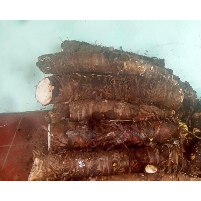 1kg bạc hà núi