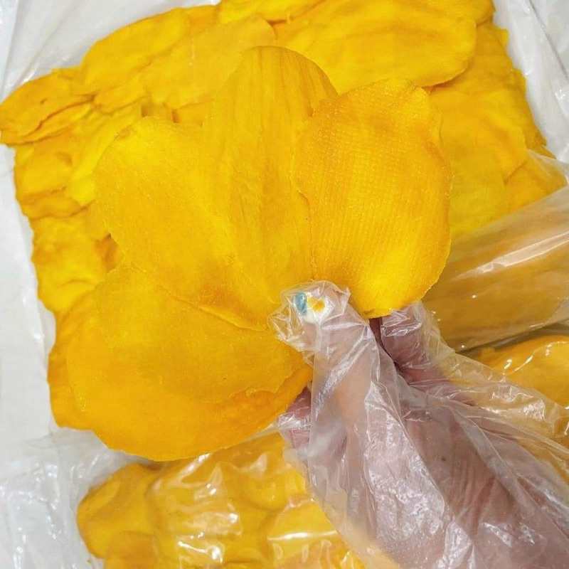 Xoài sấy dẻo không đường 500g