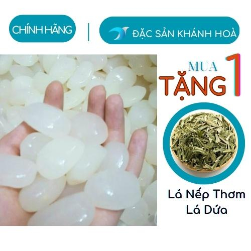 Hạt Đác Tươi Sạch Dẻo Size Lớn 1 kg Nha Trang Hạt Đác Ngon