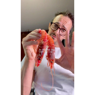 Tôm Đỏ Tây ban nha