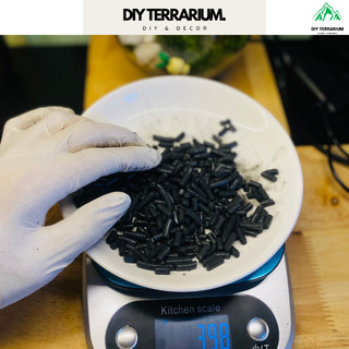 Than hoạt tính lót nền khử nấm mốc và khử khuẩn bình terrarium - 500gr