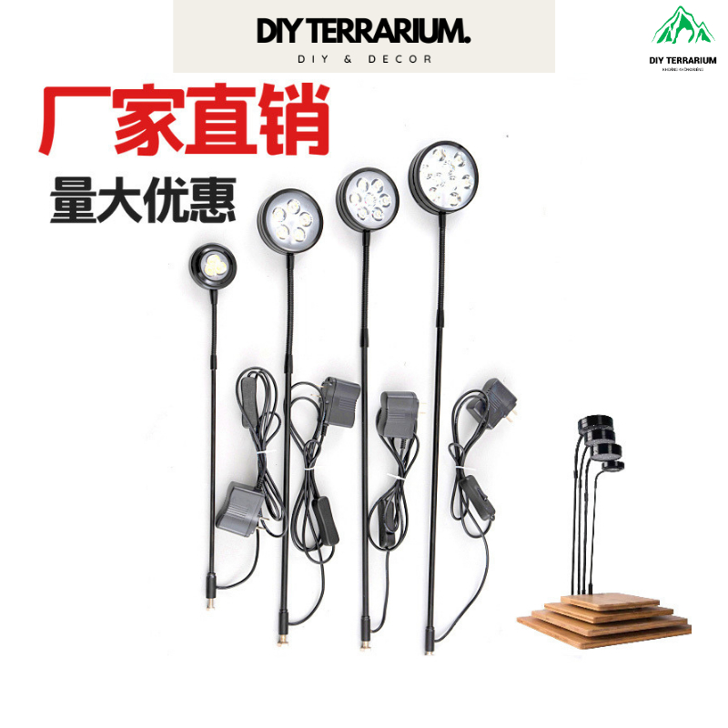 Đèn Led Terrarium Kèm Đế Gỗ Tiết Kiệm Điện Full Box