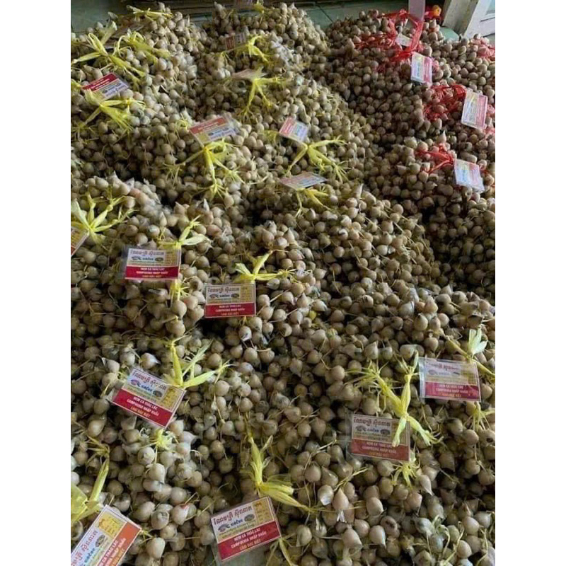 Nem chua cá thác lác Campuchia siêu hot hit