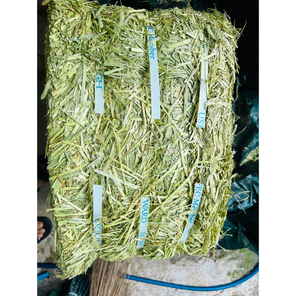 Cỏ Tymothy Hay WARD RUGH Supper Premium 🐶 FREE SHIP 🐶 Ở đâu có Tymothy tốt hơn chúng tôi hoàn 500 lần tiền