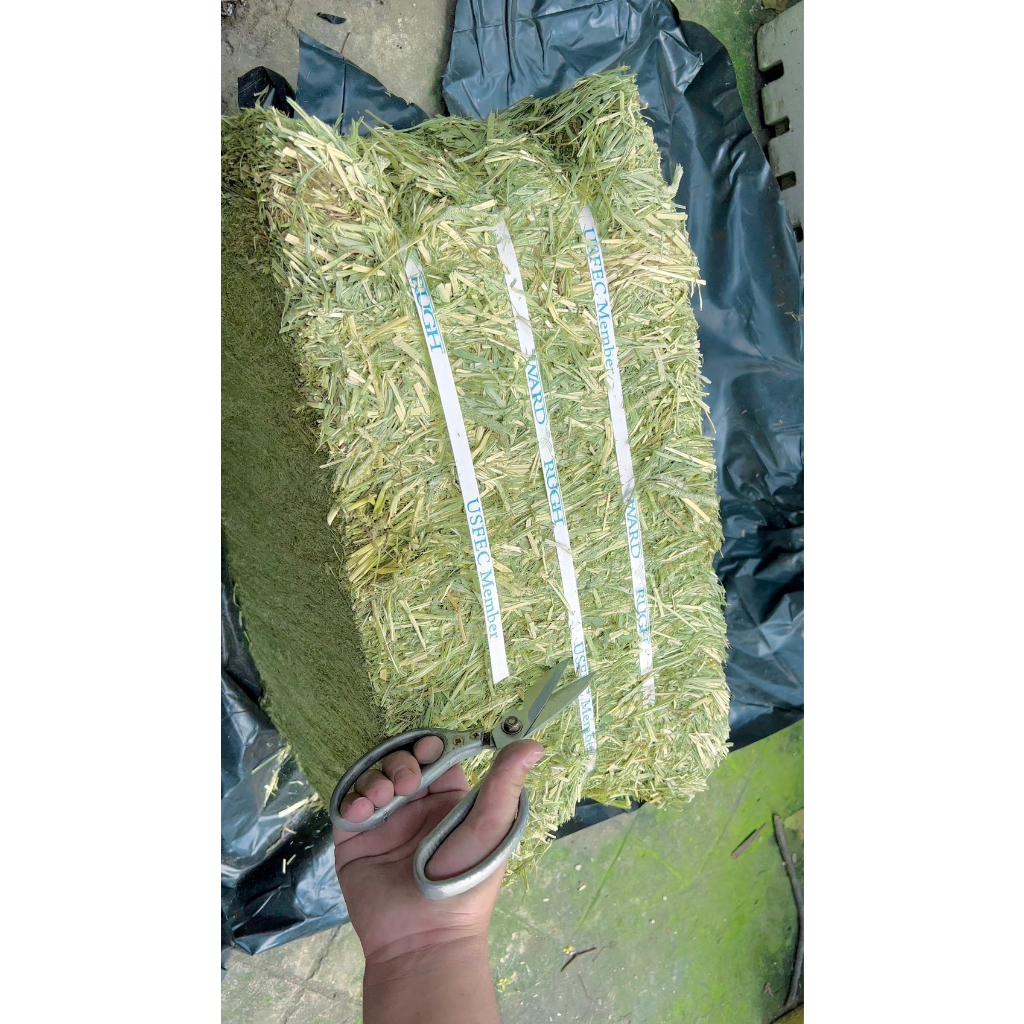 Cỏ Tymothy Hay WARD RUGH Supper Premium 🐶 FREE SHIP 🐶 Ở đâu có Tymothy tốt hơn chúng tôi hoàn 500 lần tiền