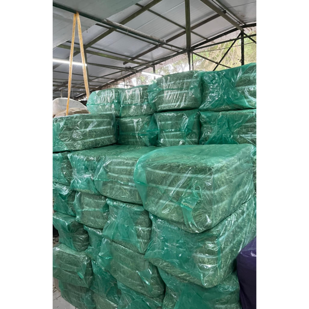 Cỏ Tymothy Hay WARD RUGH Supper Premium 🐶 FREE SHIP 🐶 Ở đâu có Tymothy tốt hơn chúng tôi hoàn 500 lần tiền