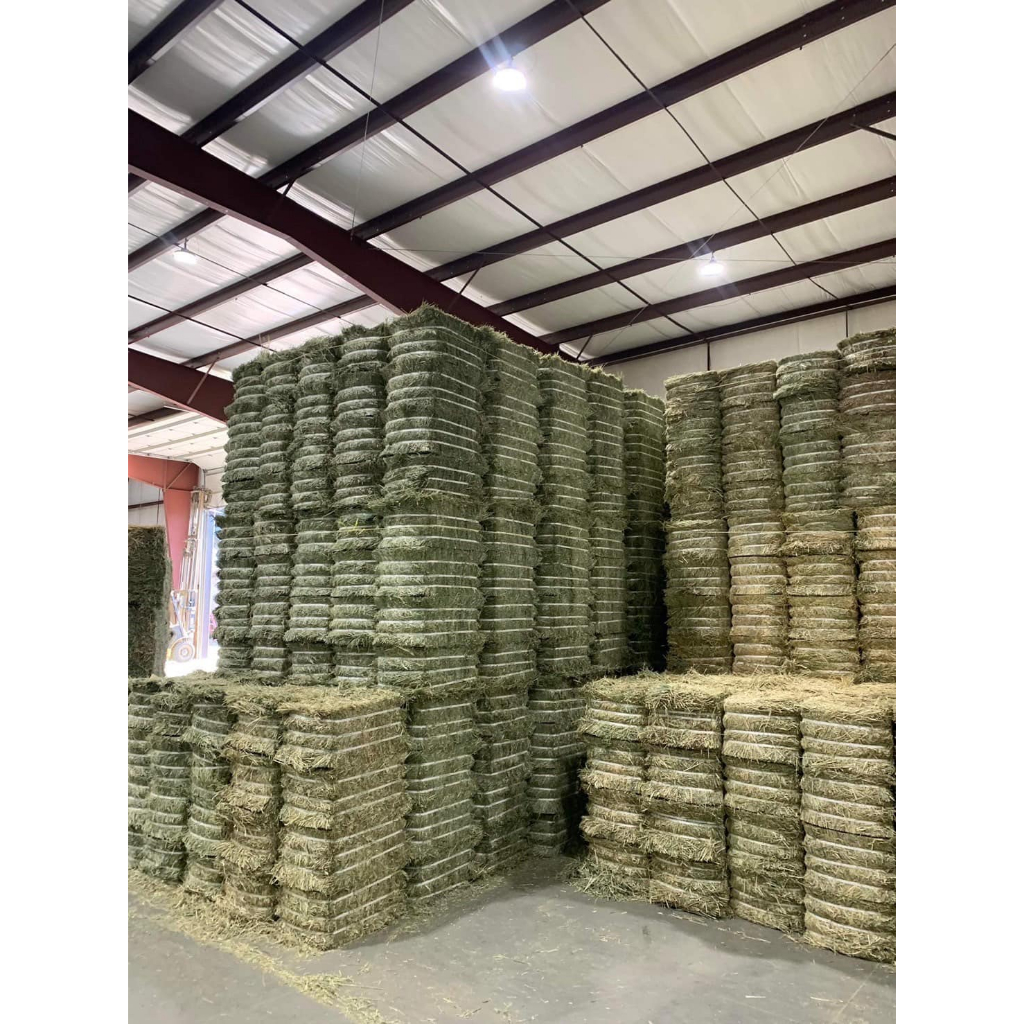 Cỏ Tymothy Hay WARD RUGH Supper Premium 🐶 FREE SHIP 🐶 Ở đâu có Tymothy tốt hơn chúng tôi hoàn 500 lần tiền