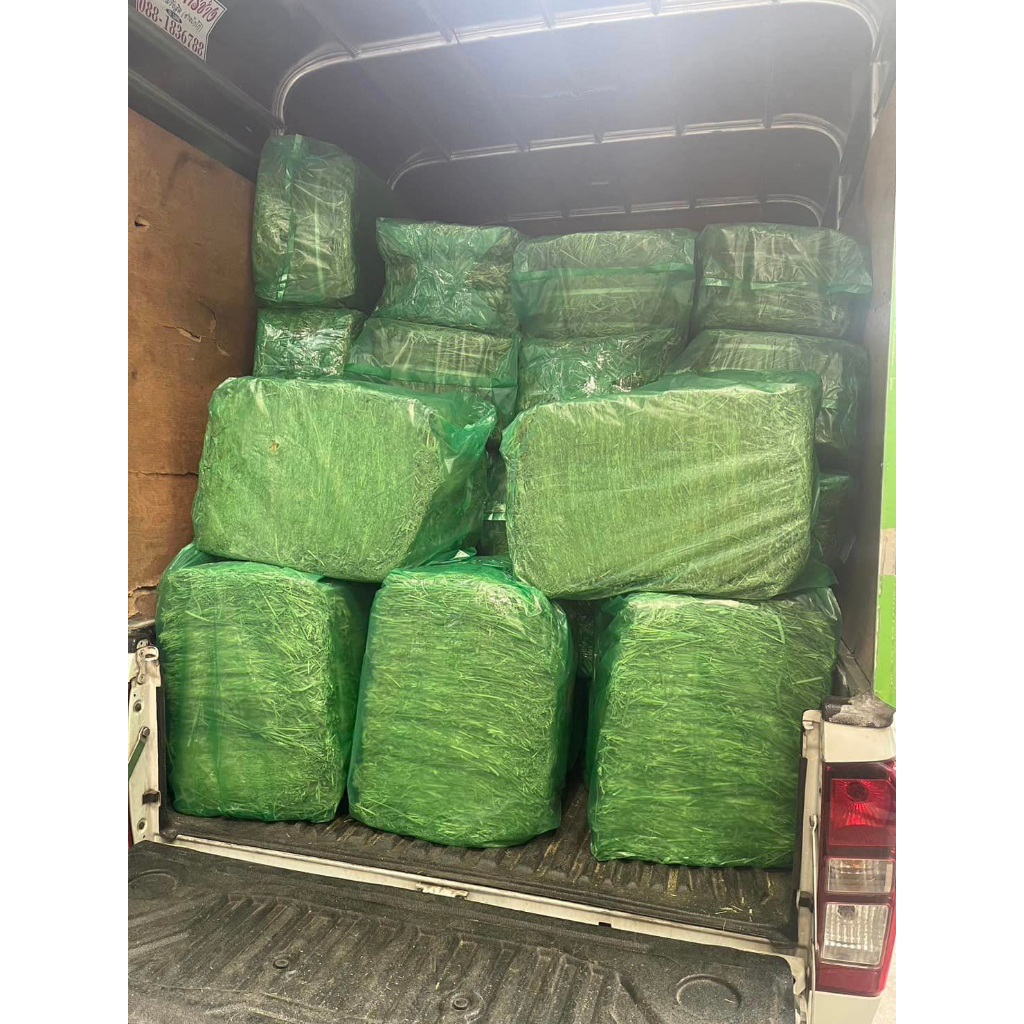 Cỏ Tymothy Hay WARD RUGH Supper Premium 🐶 FREE SHIP 🐶 Ở đâu có Tymothy tốt hơn chúng tôi hoàn 500 lần tiền