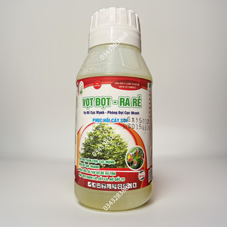 Phân bón kích rễ vọt đọt bung chồi cho mai vàng