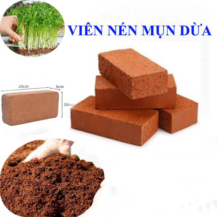 MÙN DỪA NÉN NGÂM NƯỚC NỞ TRỒNG HẠT GIỐNG RAU CỦ QUẢ, HOA KIỂNG