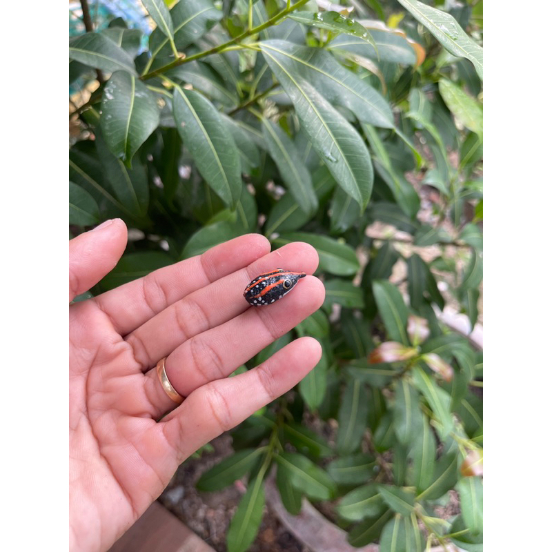 Nhái hơi mini VV20 2cm, 3gram,cho cần UL