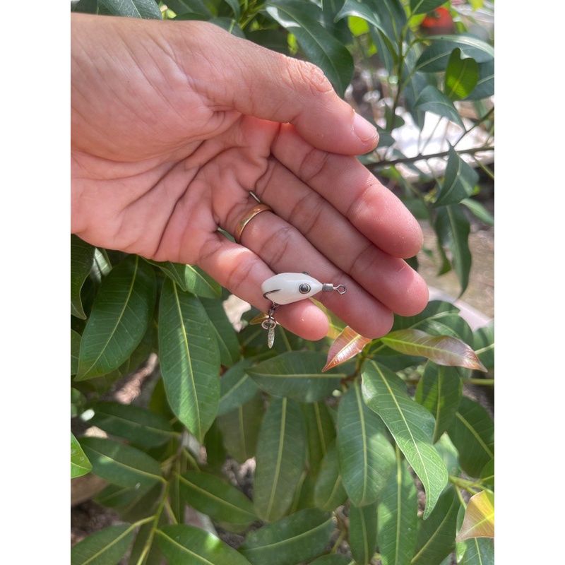 Nhái hơi mini VV20 2cm, 3gram,cho cần UL