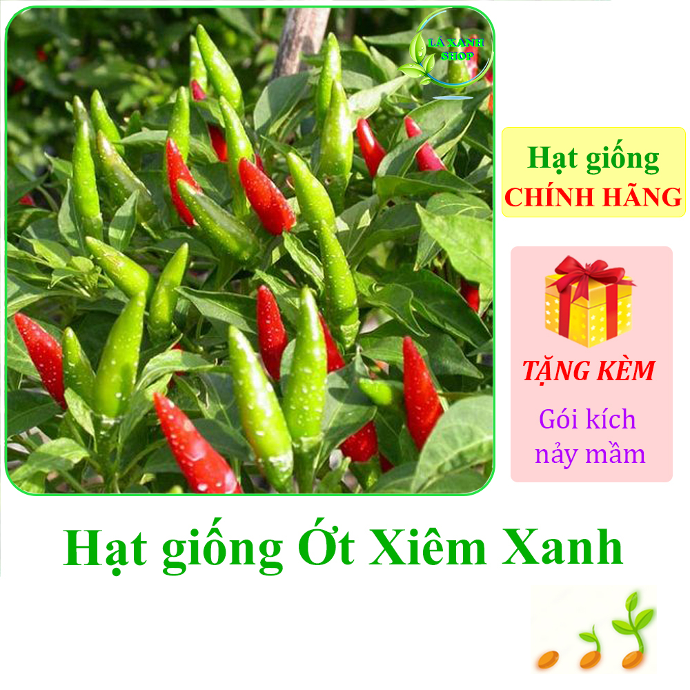 Hạt giống Ớt Xiêm Xanh Siêu Cay, Trồng Quanh Năm, Chịu Nhiệt Tốt, Trái Sai (gói 0,1 gram) - Hạt Giống Rạng Đông