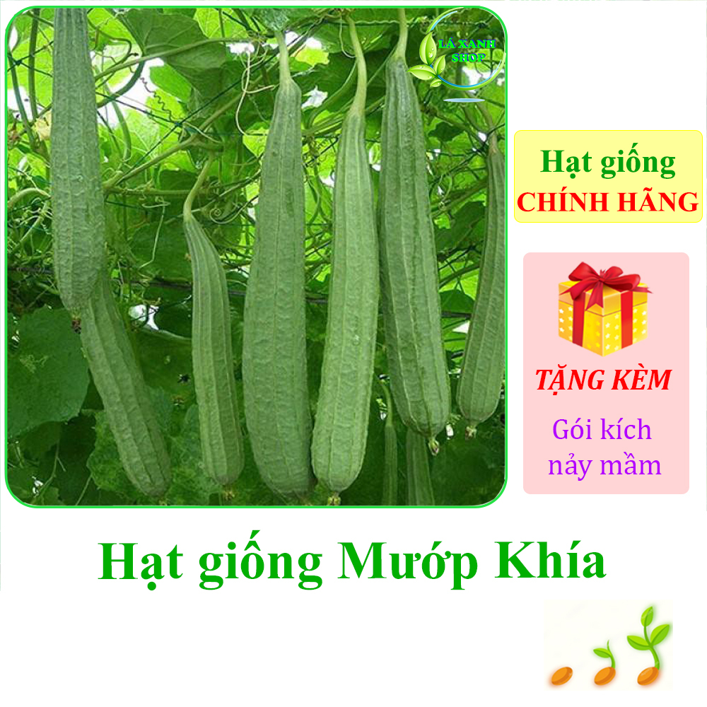 1g Hạt giống Mướp Khía Trái Dài