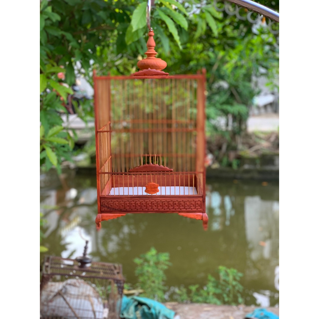 Lồng chim hút mật