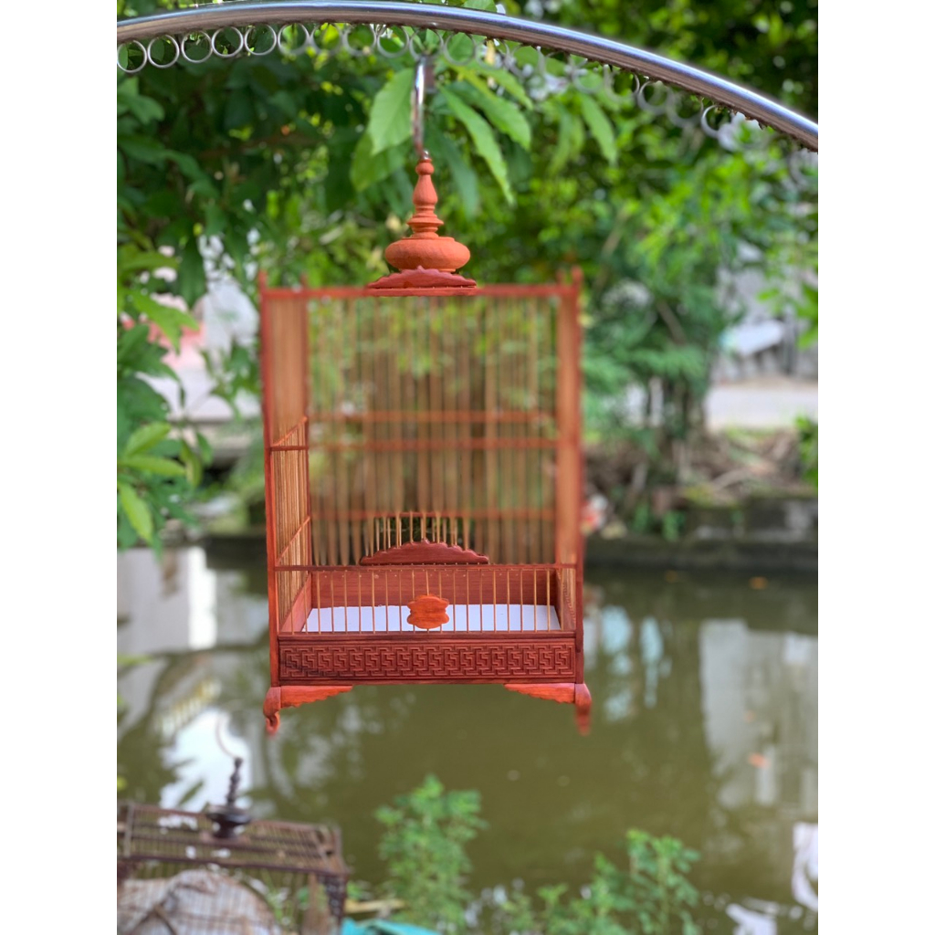 Lồng chim hút mật