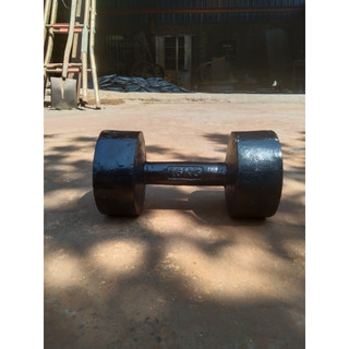 tạ tay 16kg gang đúc ( 1 quả)