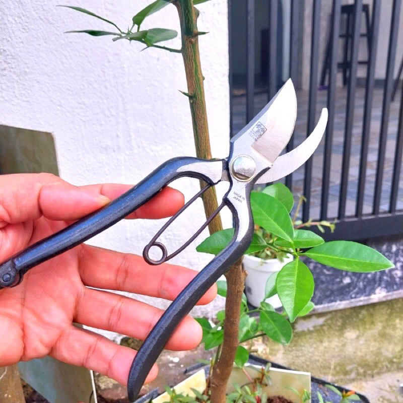 Kéo cắt cành thép đúc nguyên khối siêu sắc bén ,dụng cụ bon sai cây cảnh làm