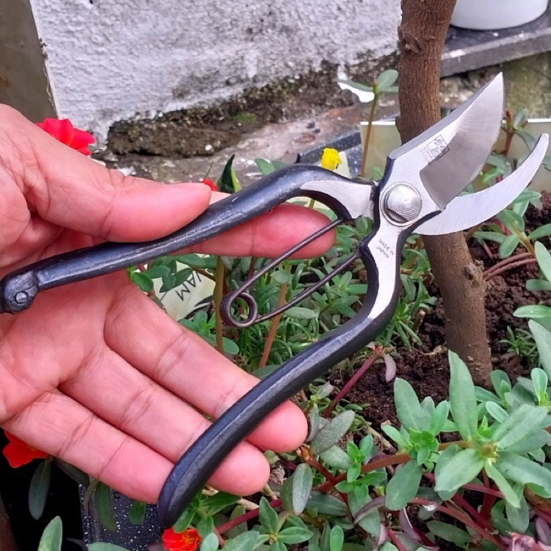 Kéo cắt cành thép đúc nguyên khối siêu sắc bén ,dụng cụ bon sai cây cảnh làm