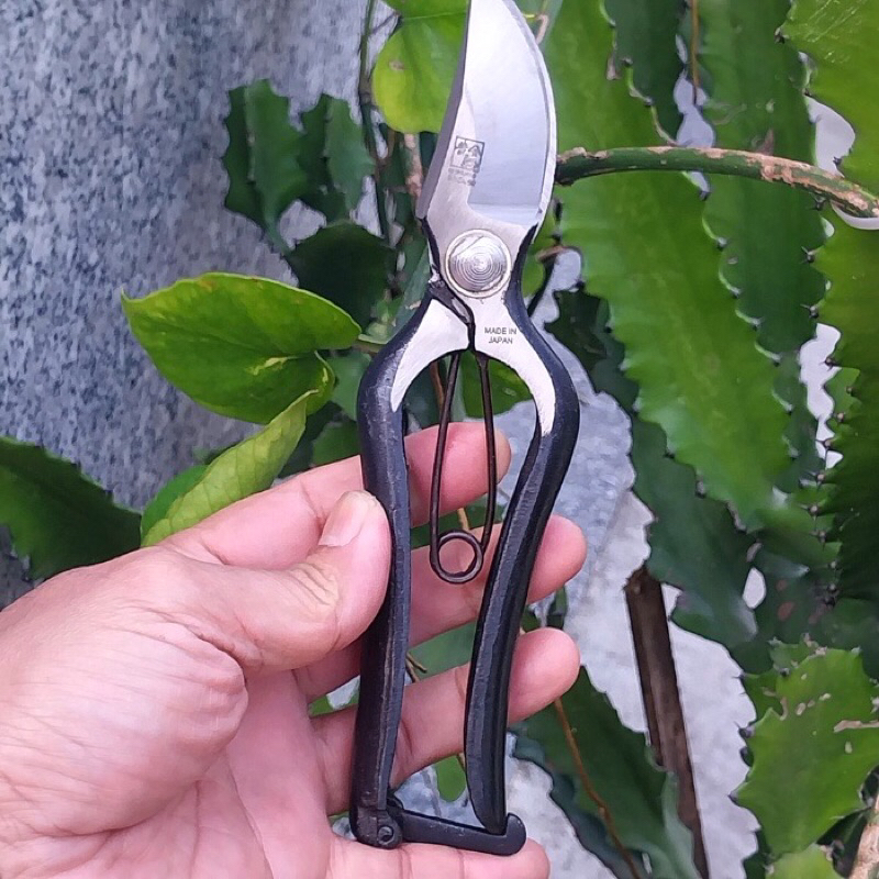 Kéo cắt cành thép đúc nguyên khối siêu sắc bén ,dụng cụ bon sai cây cảnh làm