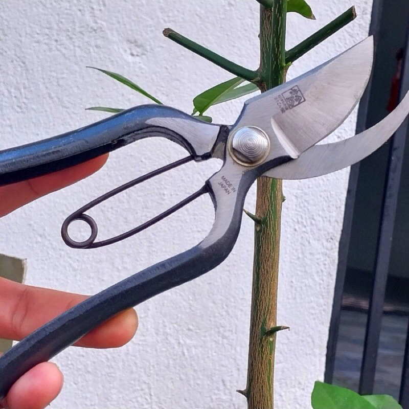 Kéo cắt cành thép đúc nguyên khối siêu sắc bén ,dụng cụ bon sai cây cảnh làm