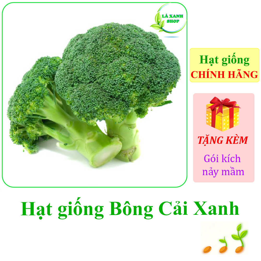 0,2g Hạt giống Bông Cải Xanh (Súp Lơ Xanh)